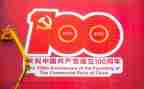 心得体会100周年心得体会参考8篇