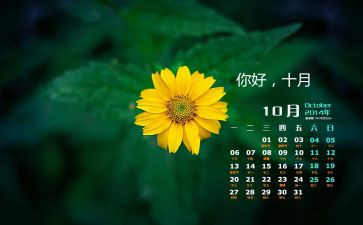幼儿园中班10月计划6篇