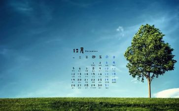 2024年12月安全工作总结5篇
