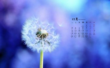 12月份工作总结参考7篇