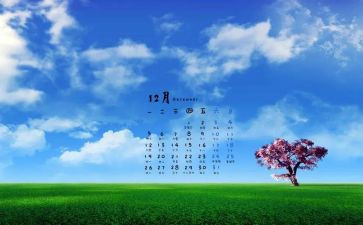 12月的我作文5篇