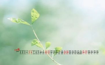 12月策划活动方案6篇
