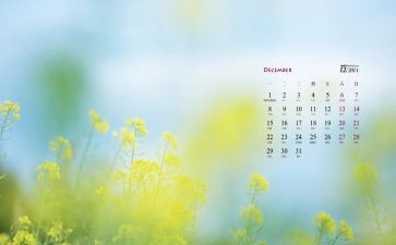 幼儿教师12月份的工作总结8篇