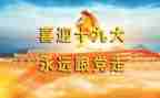 关于党的19大心得体会6篇