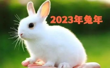 2023世界读书日心得体会优质5篇