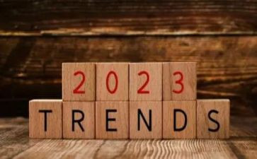2023青马心得体会8篇