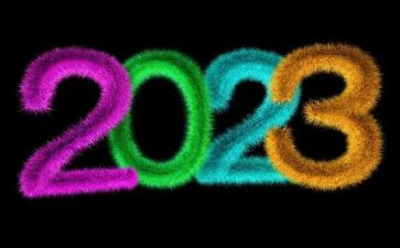 2023体育教师培训心得体会通用6篇