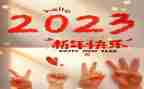 2023成人大专的自我鉴定模板6篇