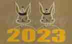 2023年党课的心得体会优秀7篇