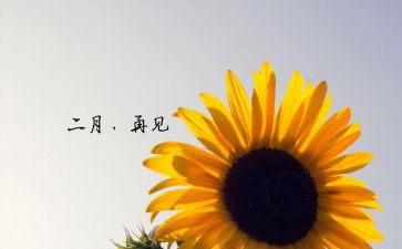 2月工作总结优秀8篇