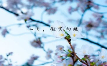 2月工作总结参考7篇