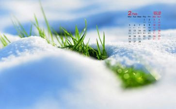 2月17心得体会6篇