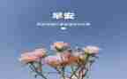 销售3月份的工作计划6篇