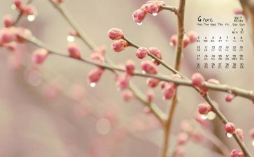 4月工作计划模板6篇