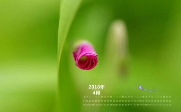 2024年大班4月份工作总结8篇