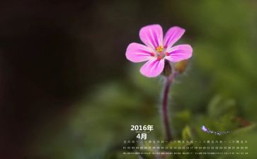 2024年幼儿园中班4月份工作总结6篇