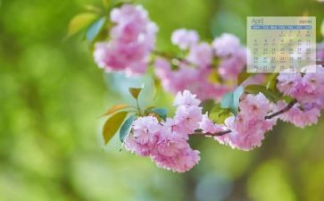 大大班4月份工作总结8篇