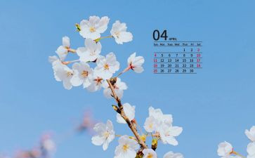 银行4月度工作总结推荐6篇