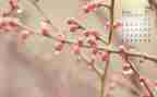4月工作计划模板6篇