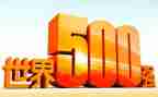 县500强工作汇报材料精选8篇