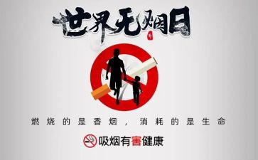 531计划心得体会通用7篇