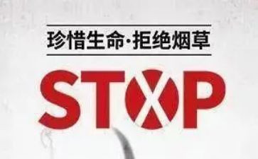 531计划心得体会优质8篇