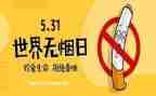干部培训531心得体会优质8篇