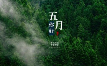 销售5月份工作计划7篇