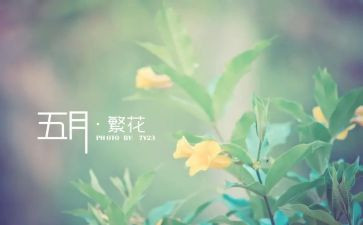5月幼儿工作计划模板7篇