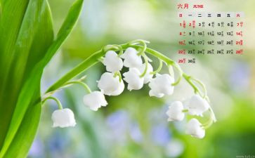 幼儿园大班6月份工作总结6篇