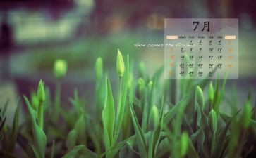 7月29心得体会8篇