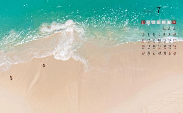 7月教师工作总结8篇