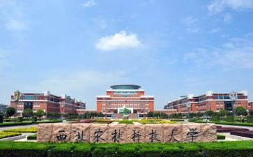 985大学毕业致辞稿范文5篇