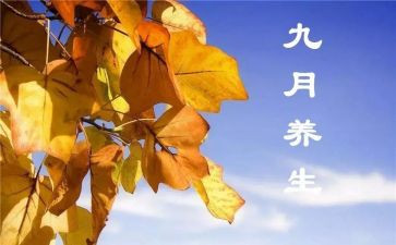 9月周工作计划5篇