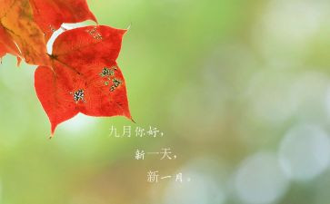 9月份销售工作总结5篇