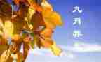 9月周工作计划5篇