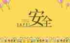 安全主题日活动总结模板6篇