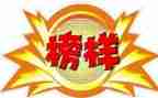 榜样八心得体会参考8篇