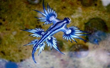 生物初一工作总结最新5篇
