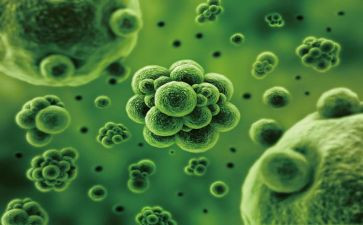学生物的心得体会最新8篇