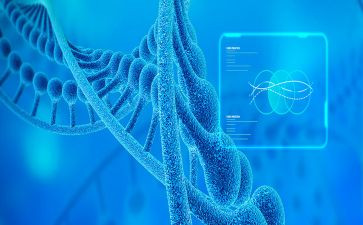 初一生物组工作总结最新7篇