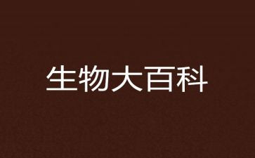 初一生物组工作总结7篇