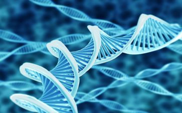 生物必修1教案7篇