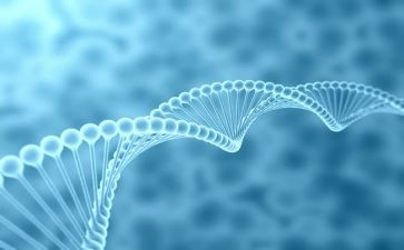 高中生物教师年度总结5篇