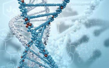 讲生物的演讲稿5篇
