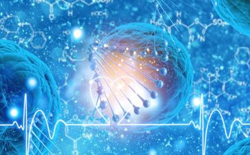 高二生物教师工作计划6篇