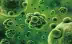 学生物的心得体会最新8篇