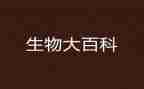 八上生物教案参考5篇