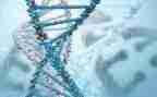 八上生物教案优质8篇