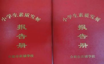 大专毕业生报告册自我鉴定7篇
